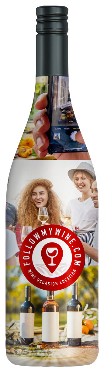 Wine Bottle